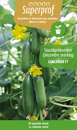 Concombre snack Lunchbox