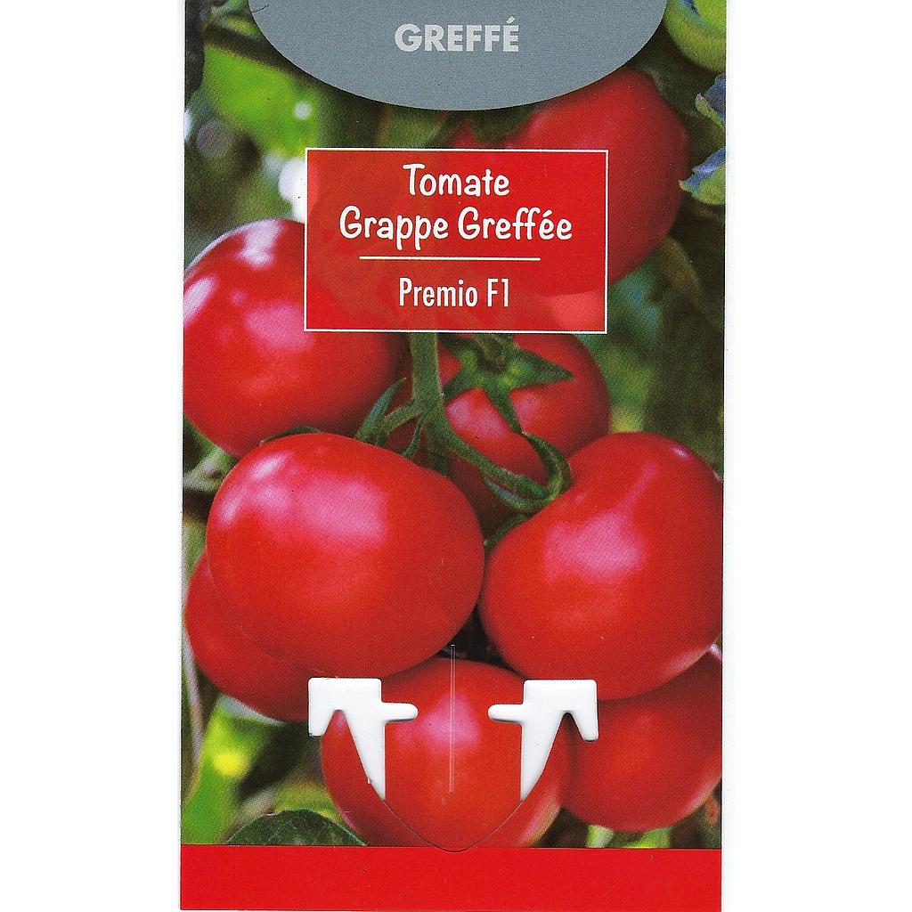 Tomates Grappe Greffée