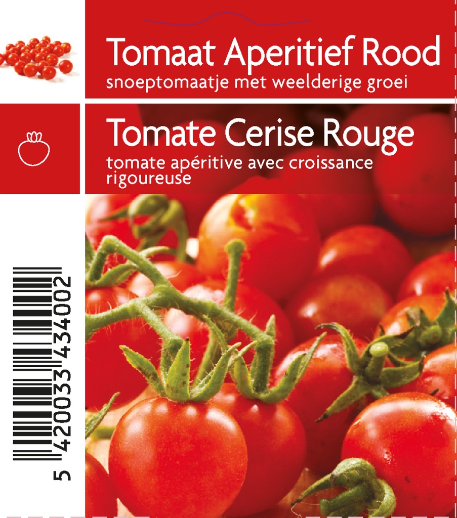 Tomate cerise pot 10,5