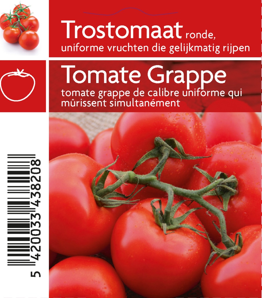 Tomates en grappes pot 10,5