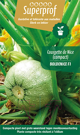 Courgette de Nice