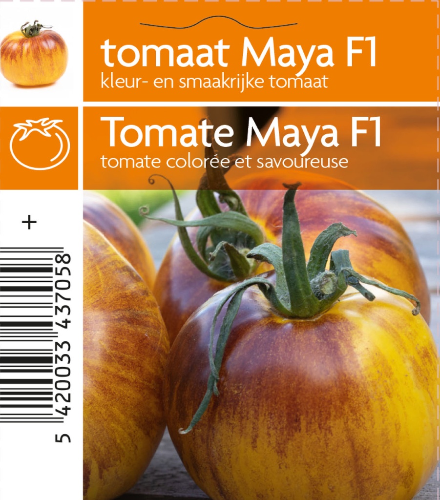 Tomate Maya F1 pot 10,5