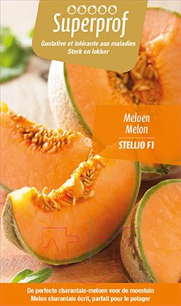 Melon Stellio F1