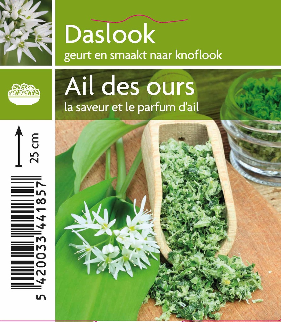 Ail des ours