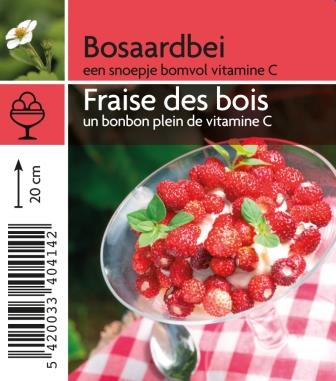 Fraise des bois