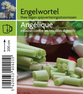 Angélique