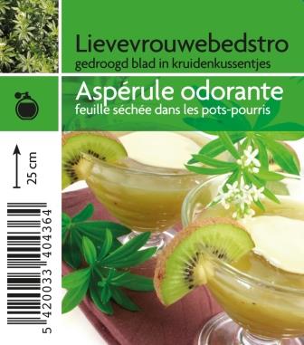 Aspérule odorante