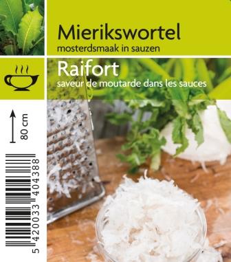Raifort