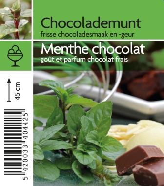 Menthe 'Chocolat'