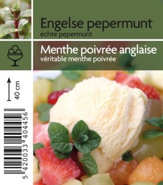 Poivrée anglaise