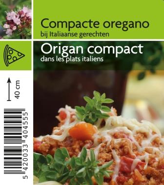 Origan compact
