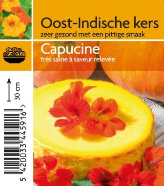 capucine pot 10.5