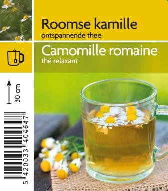 Camomille romaine