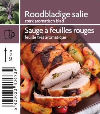 Sauge à feuilles rouges
