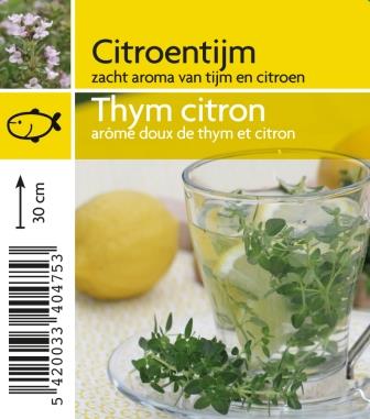 Thym citron