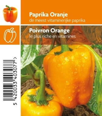 Poivron orange pot 10,5