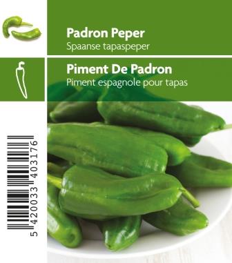 Piment de Padron