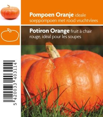 Potiron orange pot 10,5