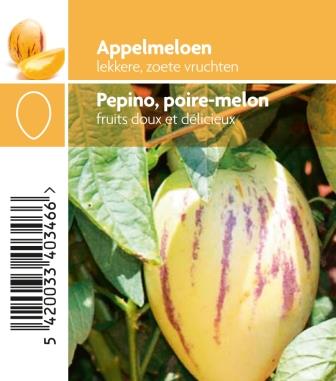 Pepino o√π poire-melon
