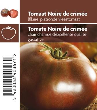 Tomate Noire de Crimèe pot 10,5