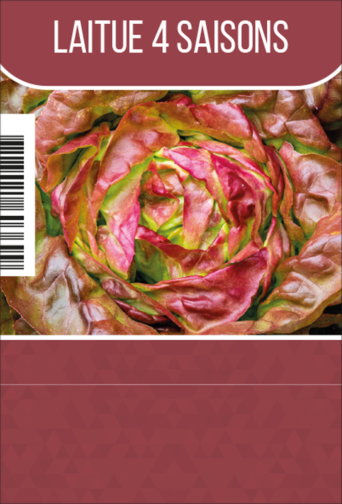 Laitue 4 Saison tray (8x6)