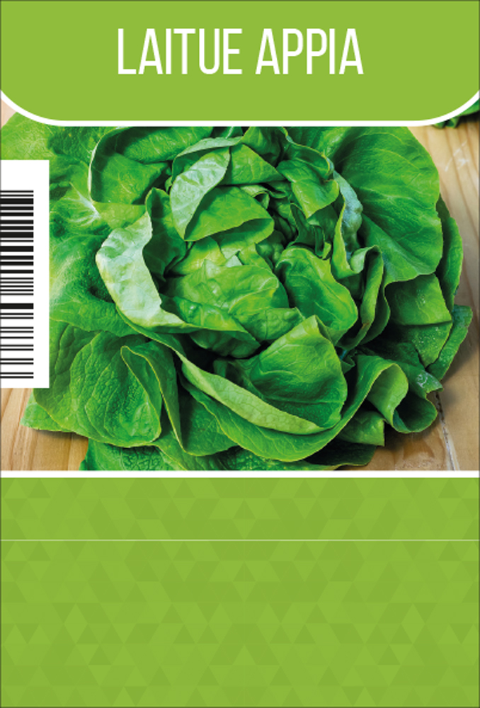 Laitue 'Appia'  tray (8x6)