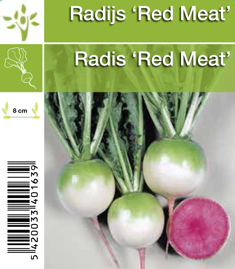 Radis 'Red Meat'