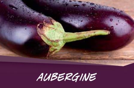 Aubergine  barq. 6