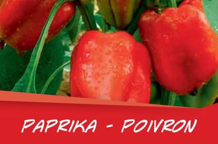 Poivron barq. 6