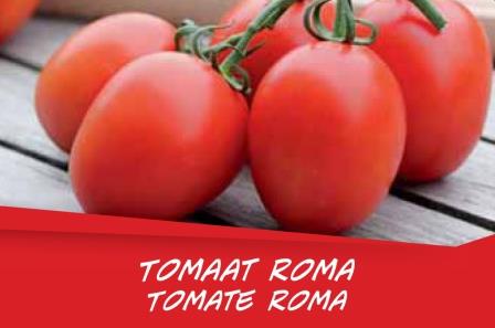 Tomate Roma barq. 6