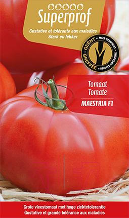 Tomate greffée Maestria