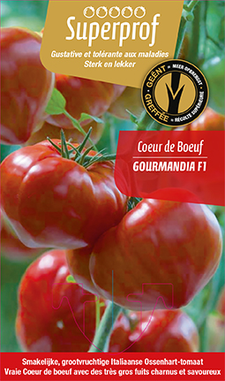 Tomate greffée C.d.boeuf Gourmandia