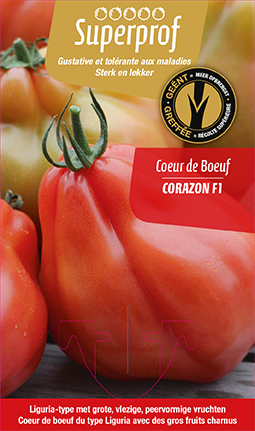 Tomate greffée c.d.boeuf Corazon
