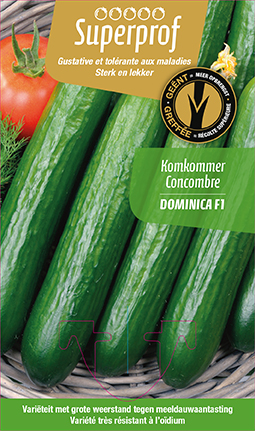 Concombre greffée Dominica F1