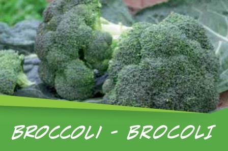 Broccoli barq. 15