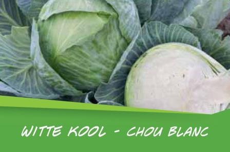 Chou blanc barq. 15