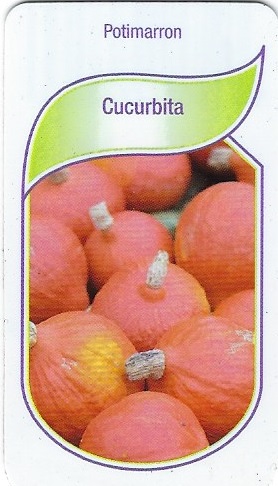 Potimarron pot 9X8X8