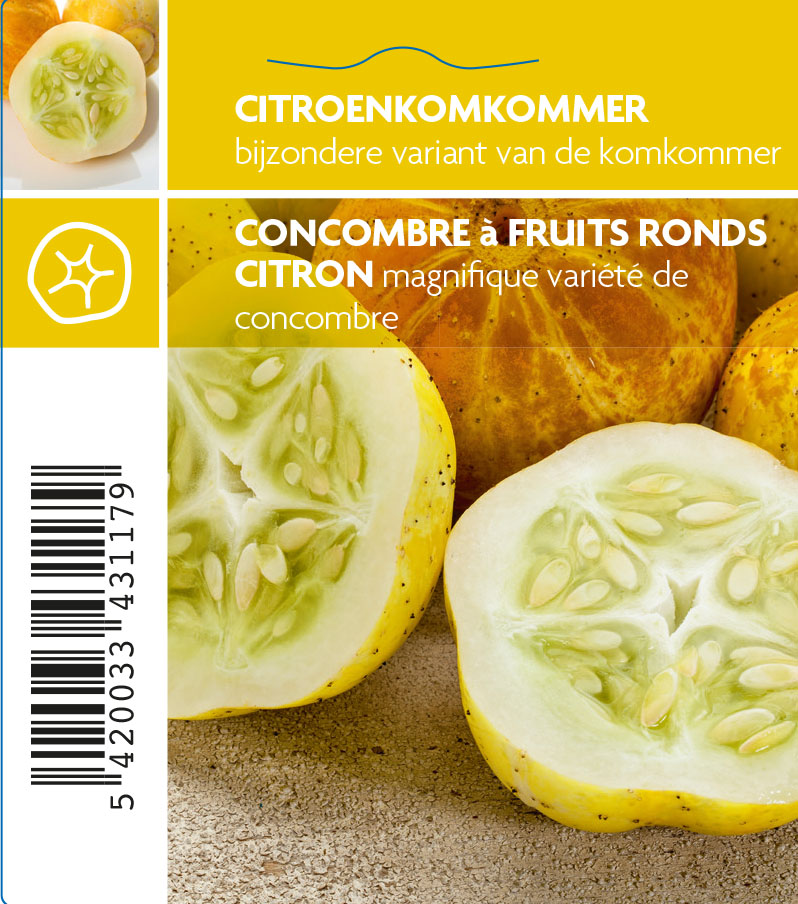 Concombre à fruits ronds citron