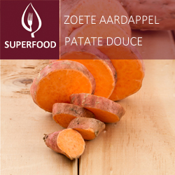 Patate douce orange pot 14