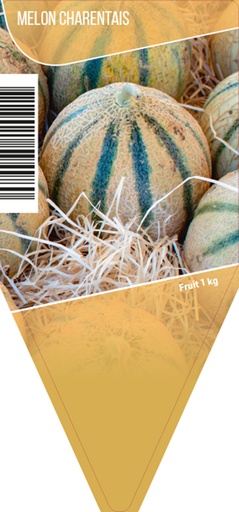 [3105] Melon pot 10,5