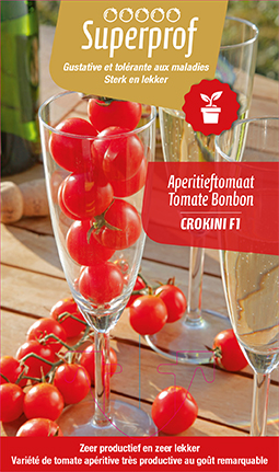 [7505] Tomate Cerise Crokini