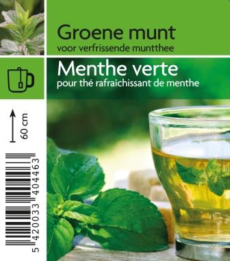 [4460] Menthe verte