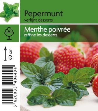 [4490] Menthe poivrée