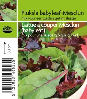 [4613] Laitue à couper Mesclun (babyleaf)