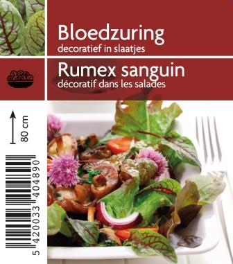 [4890] Rumex sanguin