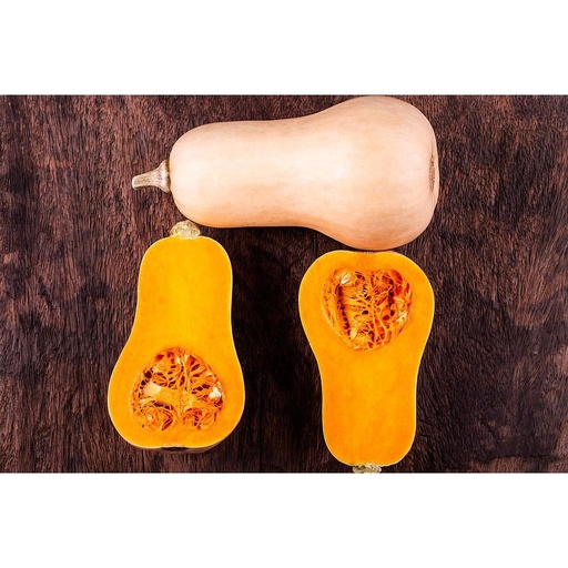 [3070] Potiron butternut