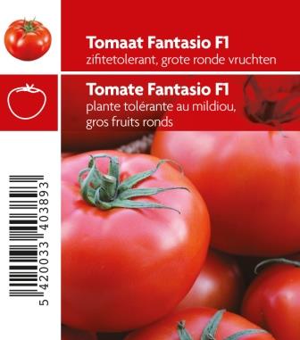 [3670] Tomaat Fantasio F1