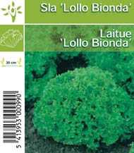 [1103] Lollo Bionda tray (8x6)