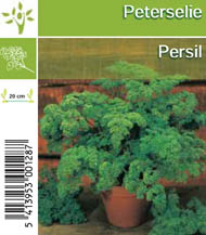 [1120] Persil tray (8x6)