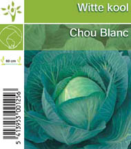 [1148] Chou blanc tray (8x6)